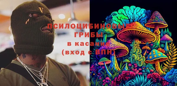 винт Няндома
