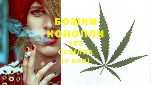 2c-b Новокубанск