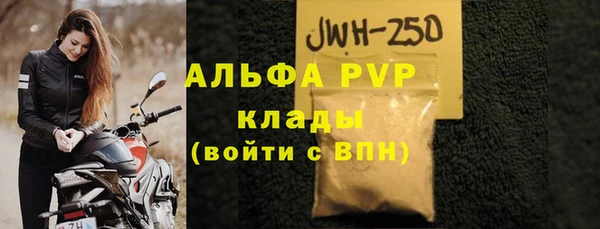 сатива Новодвинск