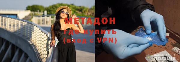 сатива Новодвинск
