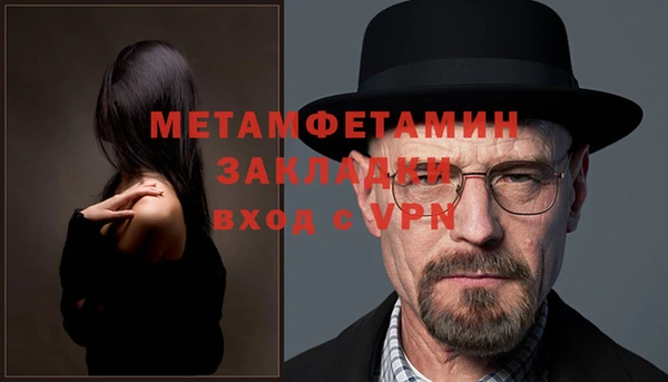 сатива Новодвинск