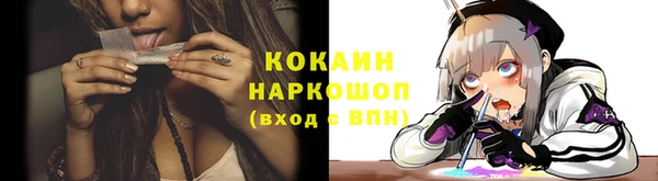 каннабис Новозыбков