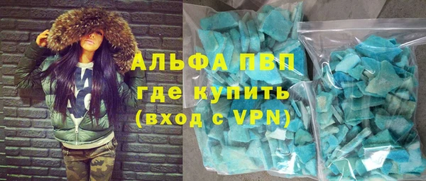 сатива Новодвинск