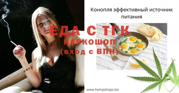 сатива Новодвинск